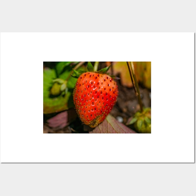 Strawberry Wall Art by KensLensDesigns